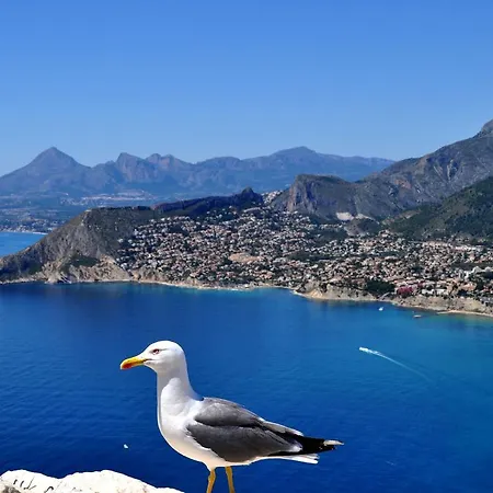 Maryvilla 1220 Villa Calpe